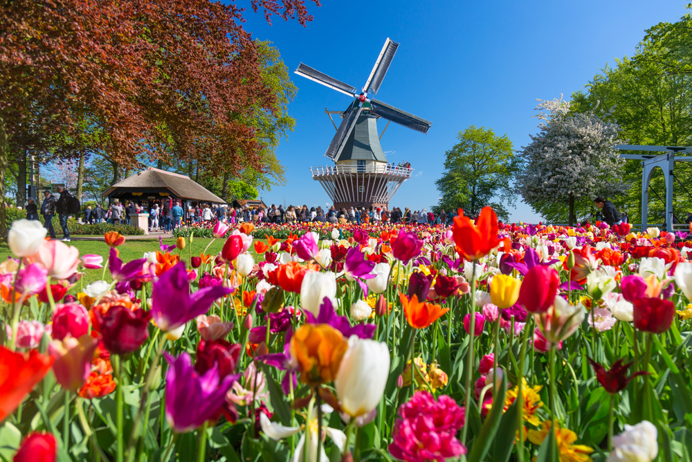 The Best Time To Visit The Netherlands | Allianz Travel Insurance